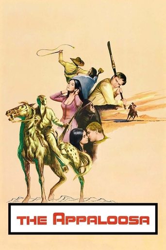 The Appaloosa movie poster