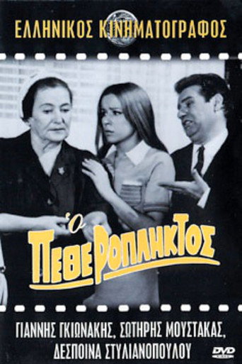 The Father-in-Law movie poster