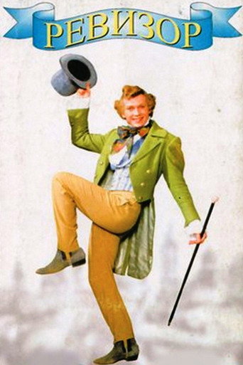 Revizorro movie poster
