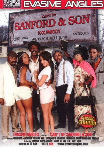 Can't Be Sanford & Son movie poster