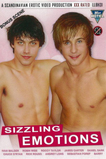Sizzling Emotions movie poster