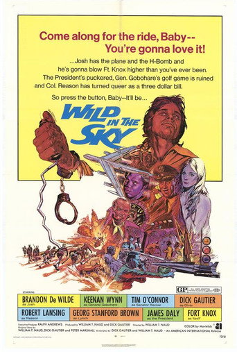 Wild in the Sky movie poster