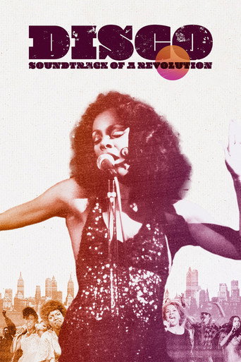 Disco: Soundtrack of a Revolution movie poster