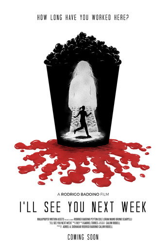 I’ll See You Next Week movie poster