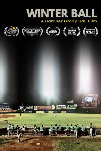 Winter Ball movie poster