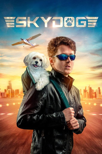Skydog movie poster