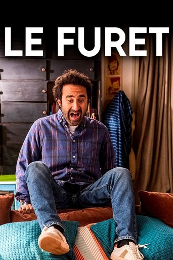 Le furet movie poster