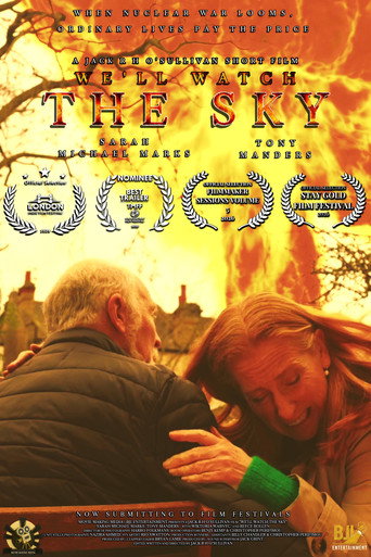 We'll Watch The Sky movie poster