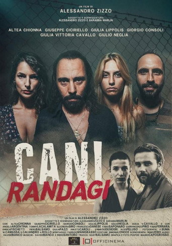Cani randagi movie poster