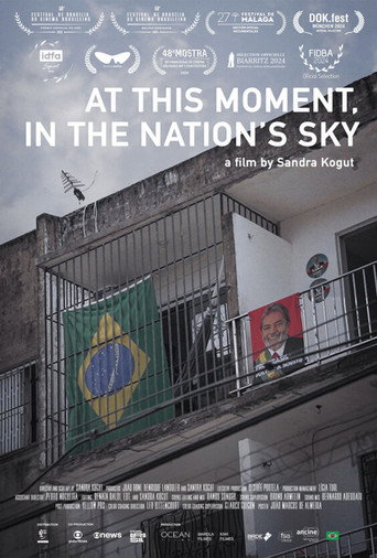 At this Moment, in the Nation’s Sky movie poster