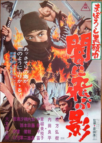 Black Ninja movie poster