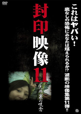 Sealed Video 11: Attic Curse movie poster