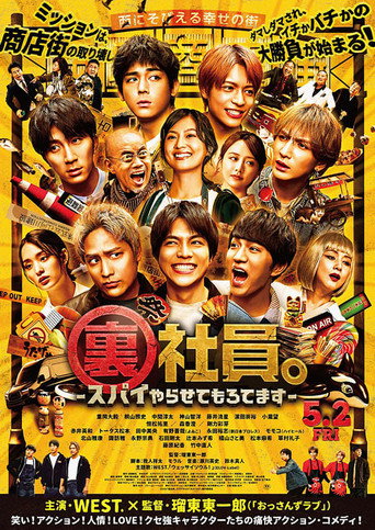 Mission: Sorta Possible movie poster