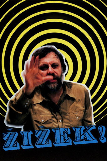 Žižek! movie poster