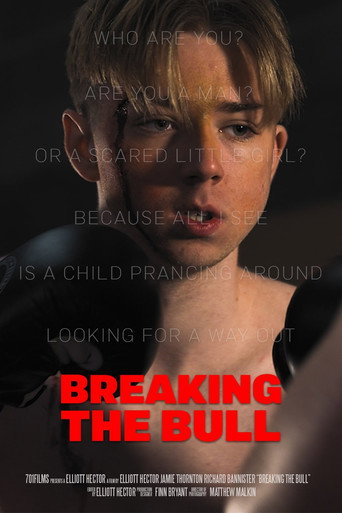 Breaking the Bull movie poster