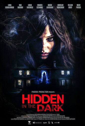 Hidden in the Dark movie poster