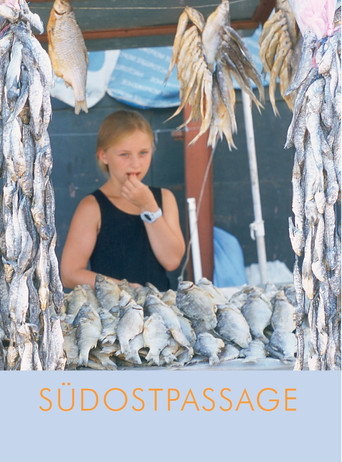 Southeast Passage movie poster