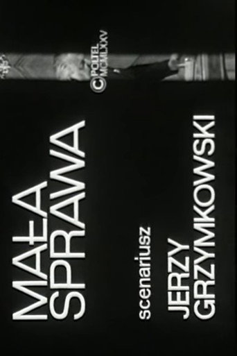Mała sprawa movie poster