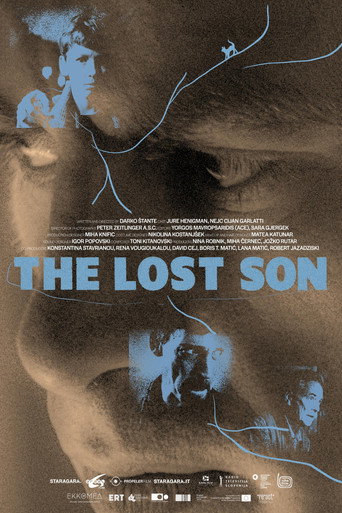 The Lost Son movie poster