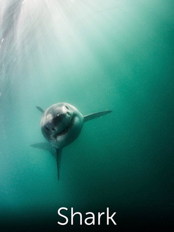 Shark: Beneath the Surface movie poster