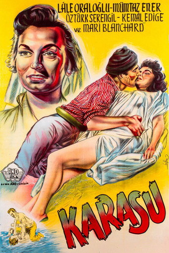 Karasu movie poster