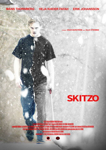Skitzo movie poster