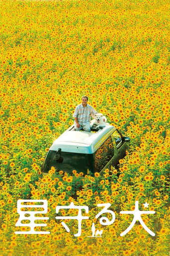Star Watching Dog movie poster
