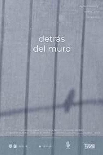 Detrás del Muro movie poster