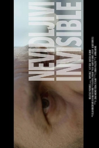 Invisible movie poster