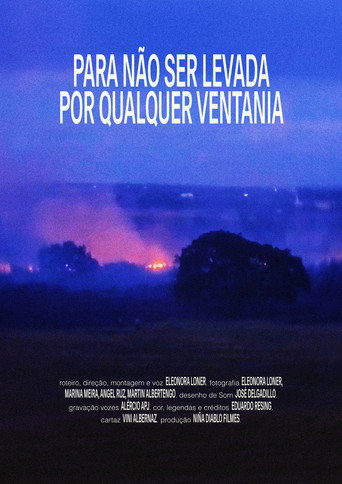 Para não ser levada por qualquer ventania movie poster