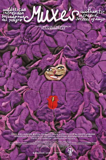 Muxes: Authentic, Fearless Seekers of Danger movie poster