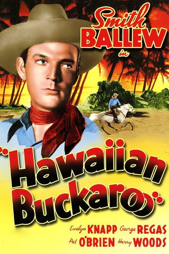 Hawaiian Buckaroo movie poster