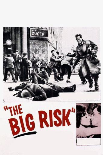 The Big Risk movie poster