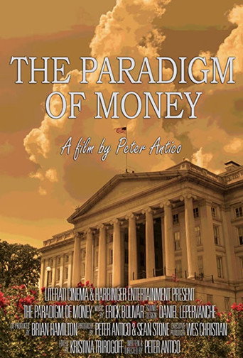 The Paradigm of Money movie poster