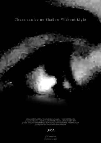 There can be no Shadow Without Light movie poster