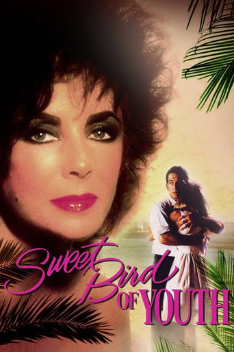 Sweet Bird of Youth movie poster