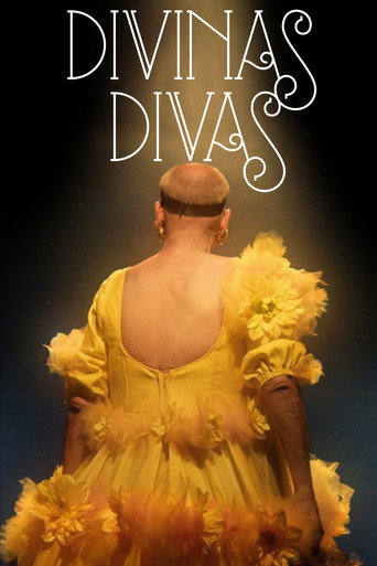 Divine Divas movie poster