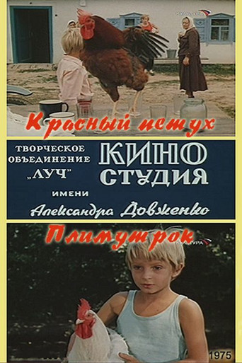 Red Rooster Plymouth Rock movie poster
