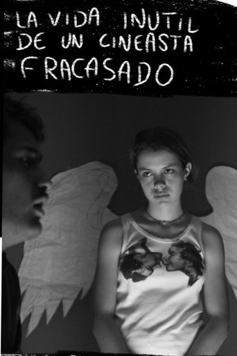 The useless life of a failed filmmaker movie poster