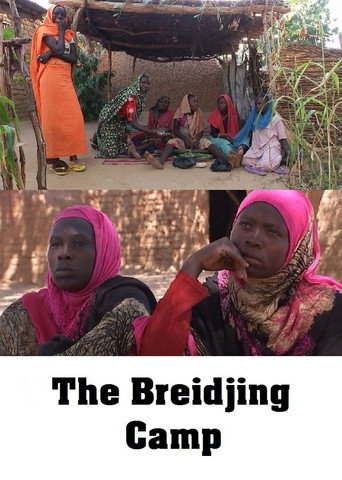 The Breidjing Camp movie poster