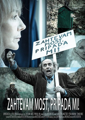 I Demand a Bridge, I am Entitled to It! movie poster