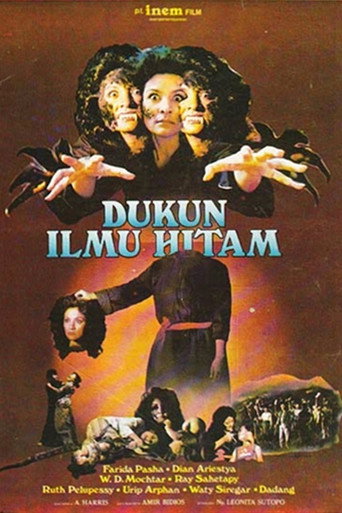 Black Magic Wizard movie poster
