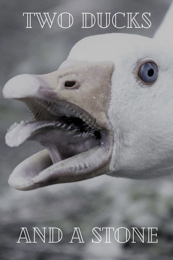 Two Ducks and a Stone movie poster