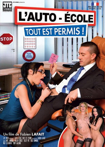 L'Auto-Ecole Tout Est Permis ! movie poster