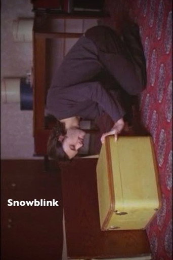 Snowblink movie poster