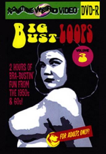 Big Bust Loops Volume 3 movie poster