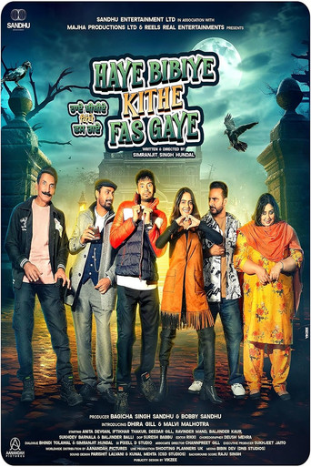 Haye Bibiye Kithe Fas Gaye movie poster