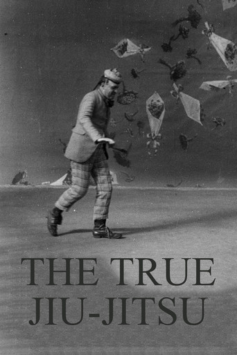 Dranem Performs The True Jiu-Jitsu movie poster