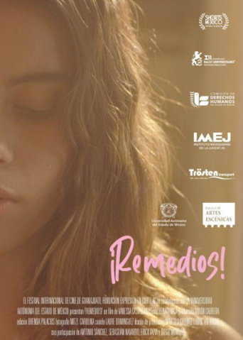 ¡Remedios! movie poster