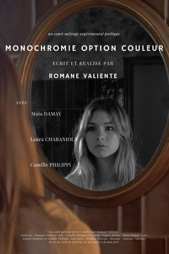Monochromie Option Couleur movie poster